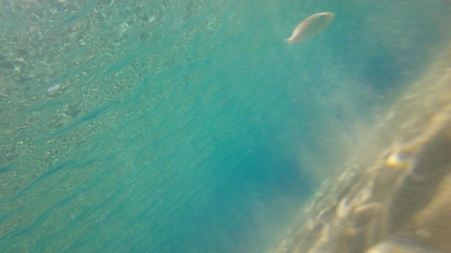 Underwater photo