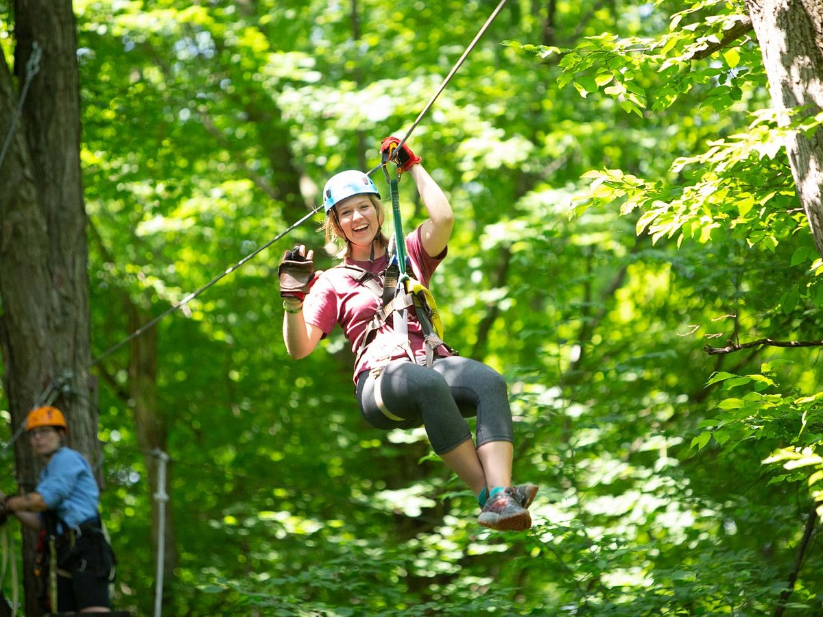 KERFOOT CANOPY TOURS - 41 Photos & 33 Reviews - 30200 Scenic Byway