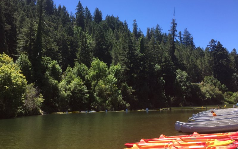 THE 15 BEST Things to Do in Guerneville - UPDATED 2021 - Must See ...