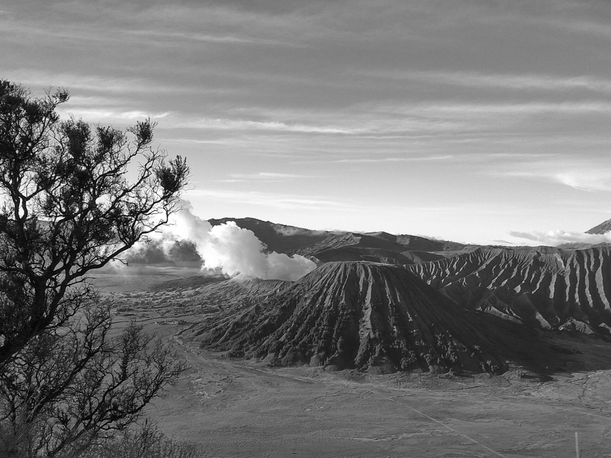 Bromo Authentic Tours - All You Need to Know BEFORE You Go (2024)