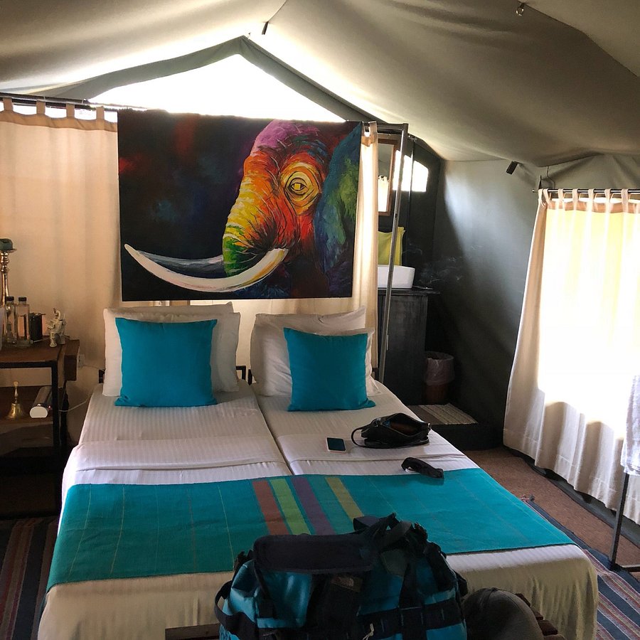 mahoora tented safari camps colombo reviews