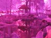 Vacation782200