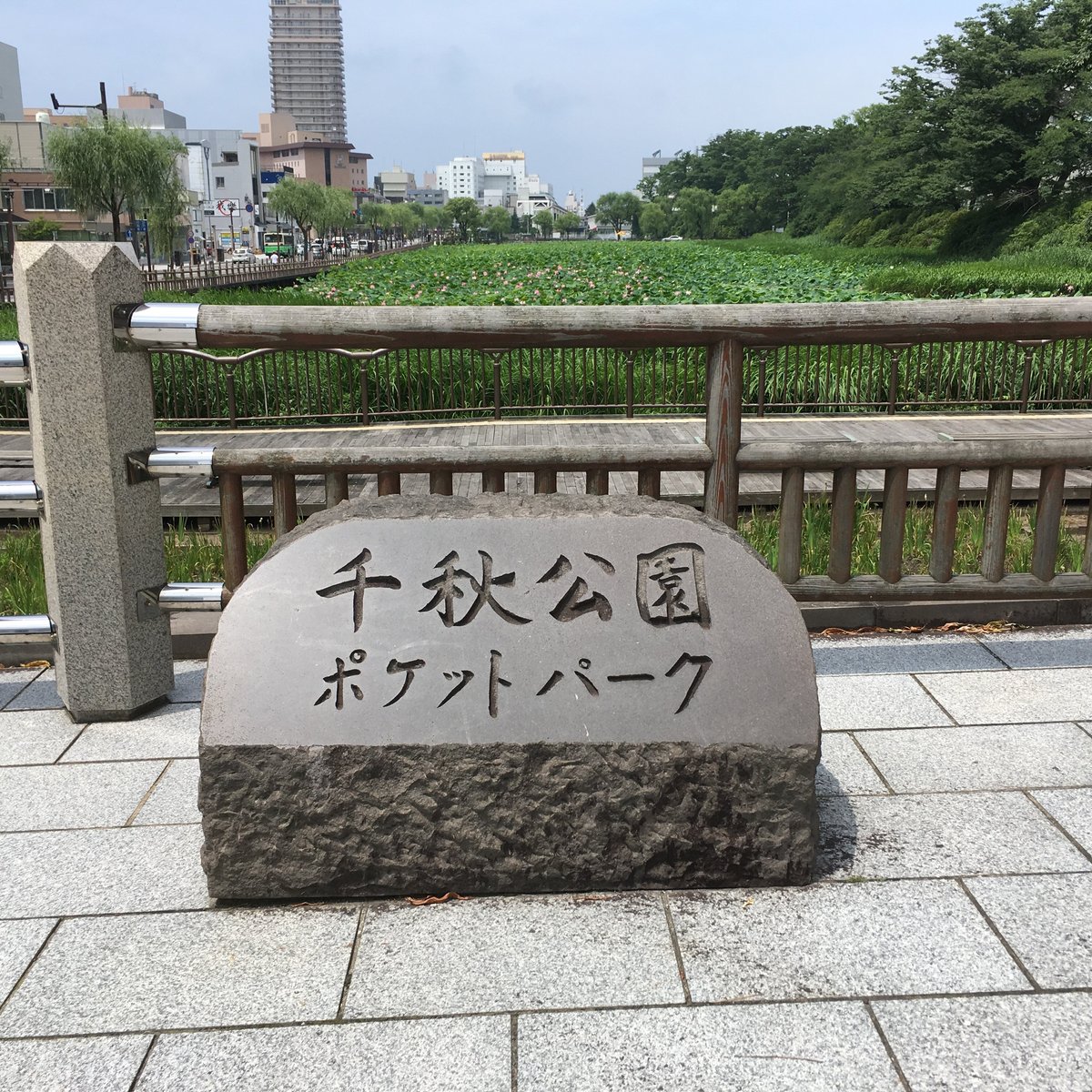 SENSHU KOEN POCKET PARK (Akita): Ce qu'il faut savoir