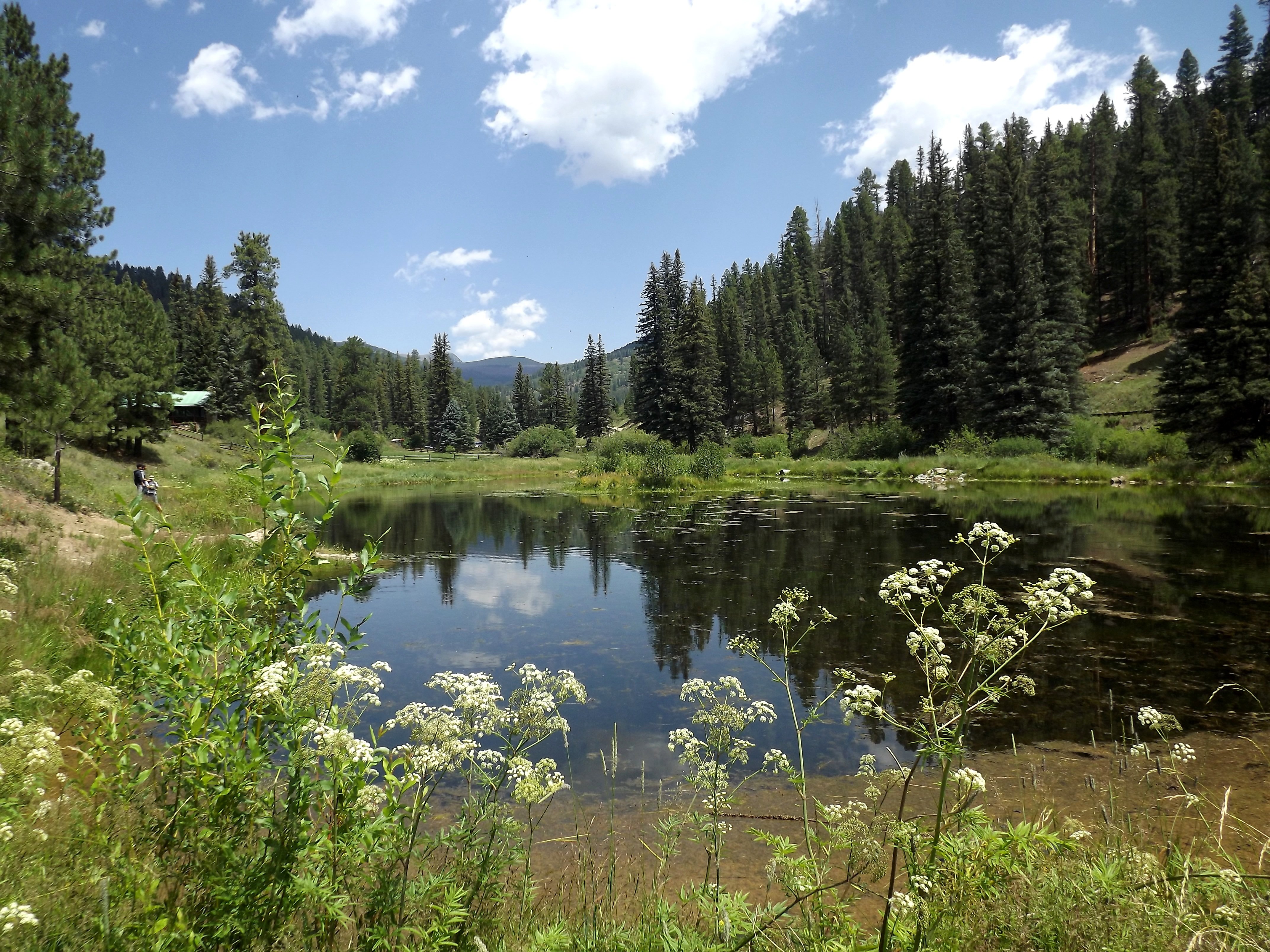 Santa Fe National Forest (新墨西哥) - 旅游景点点评- Tripadvisor