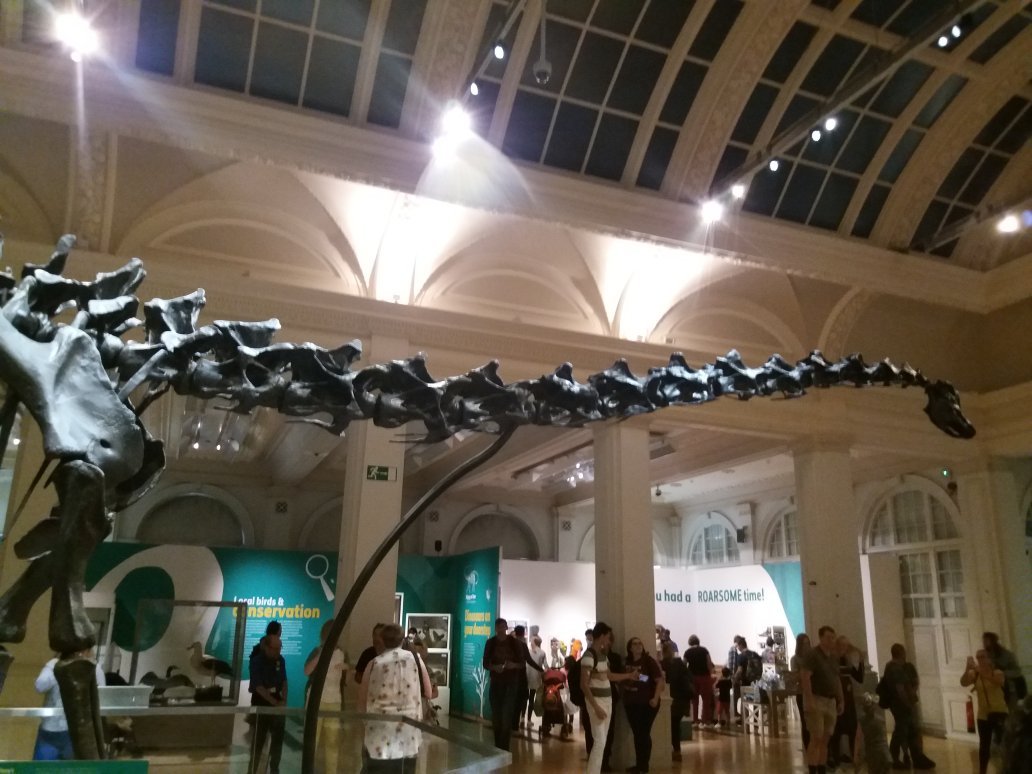 THE 10 BEST Museums In Birmingham (Updated 2024) - Tripadvisor