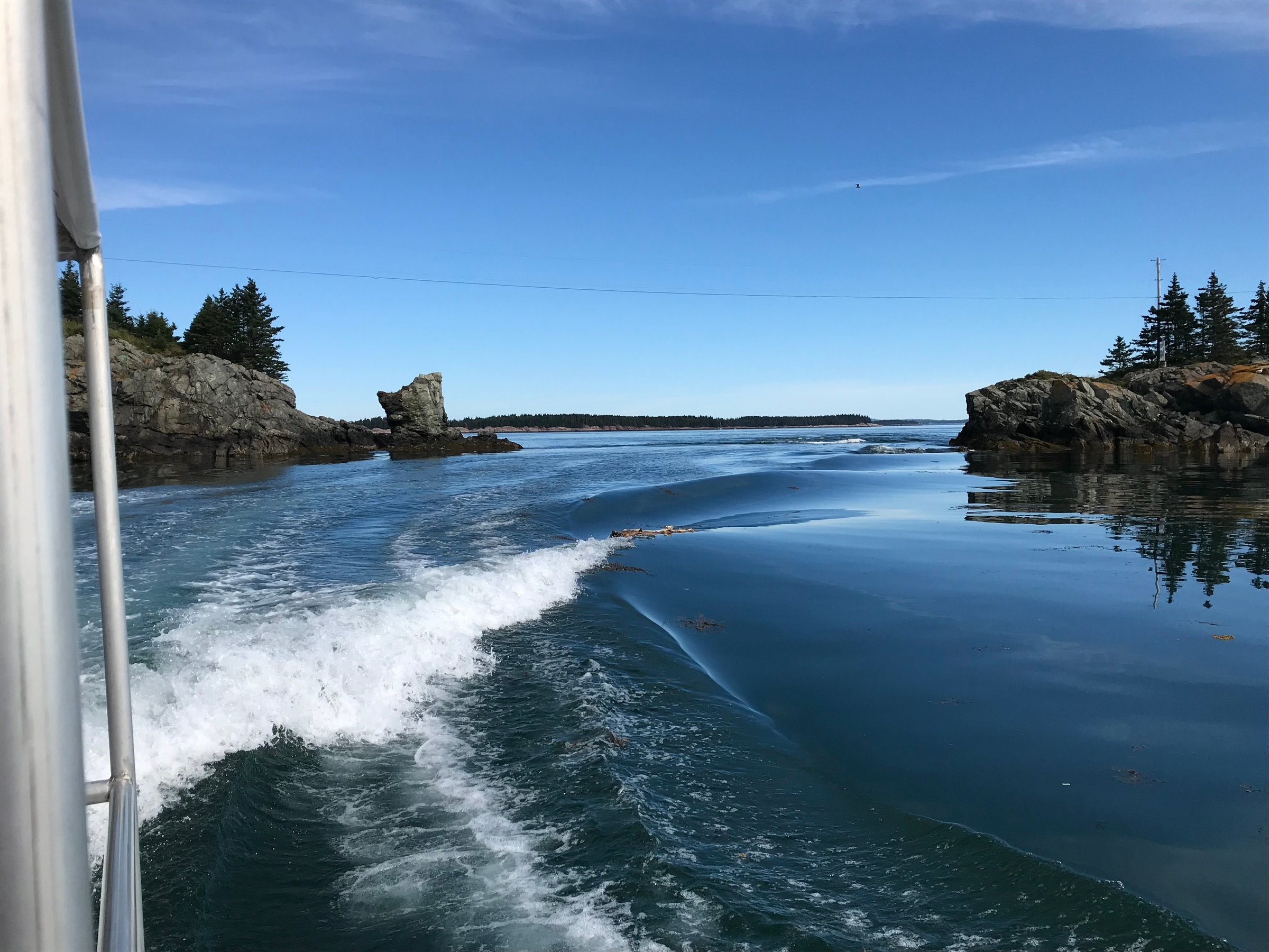 Downeast Charter Boat Tours (Lubec) All You Need to Know BEFORE You Go