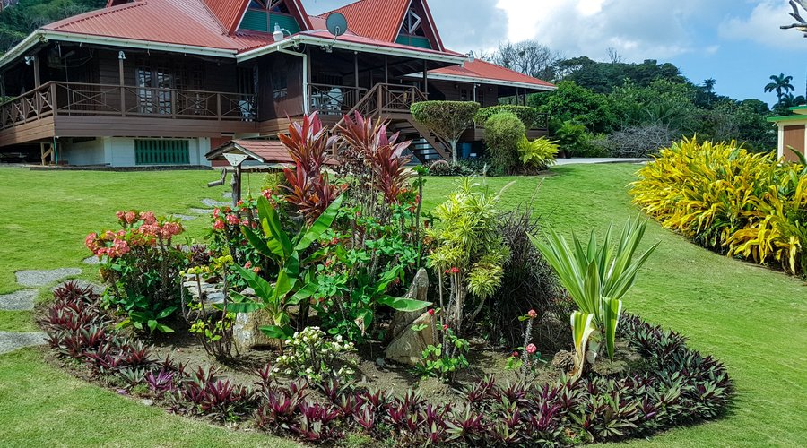 View of the main house