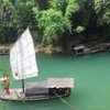 Qingling T
