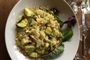 Cibo