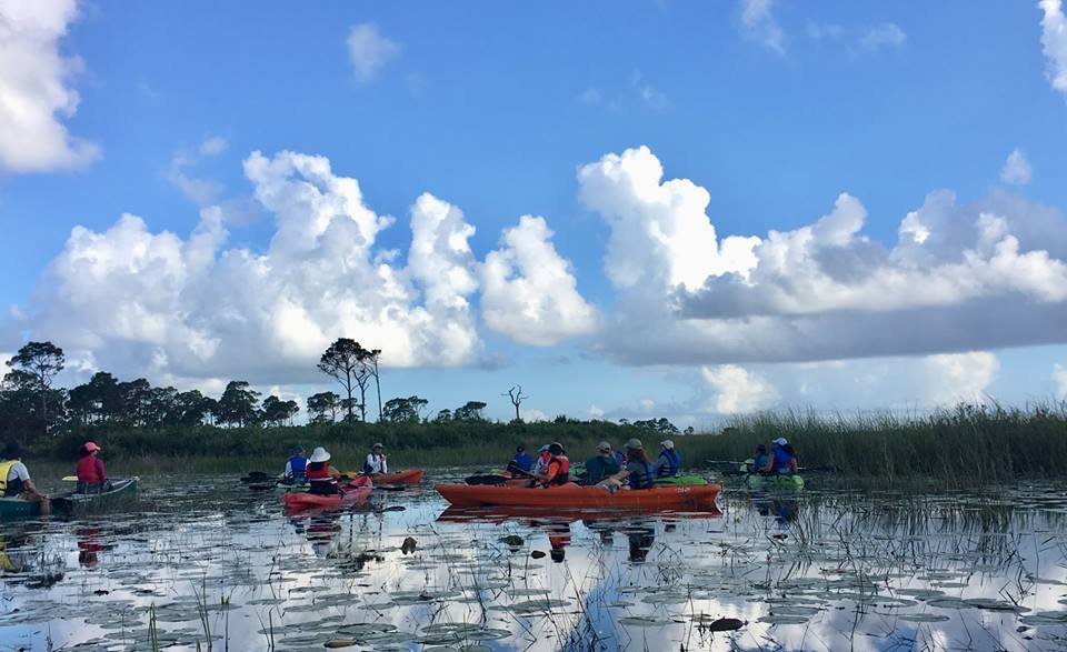 Escape to the Wild: Savannas Preserve State Park, Your Florida Oasis