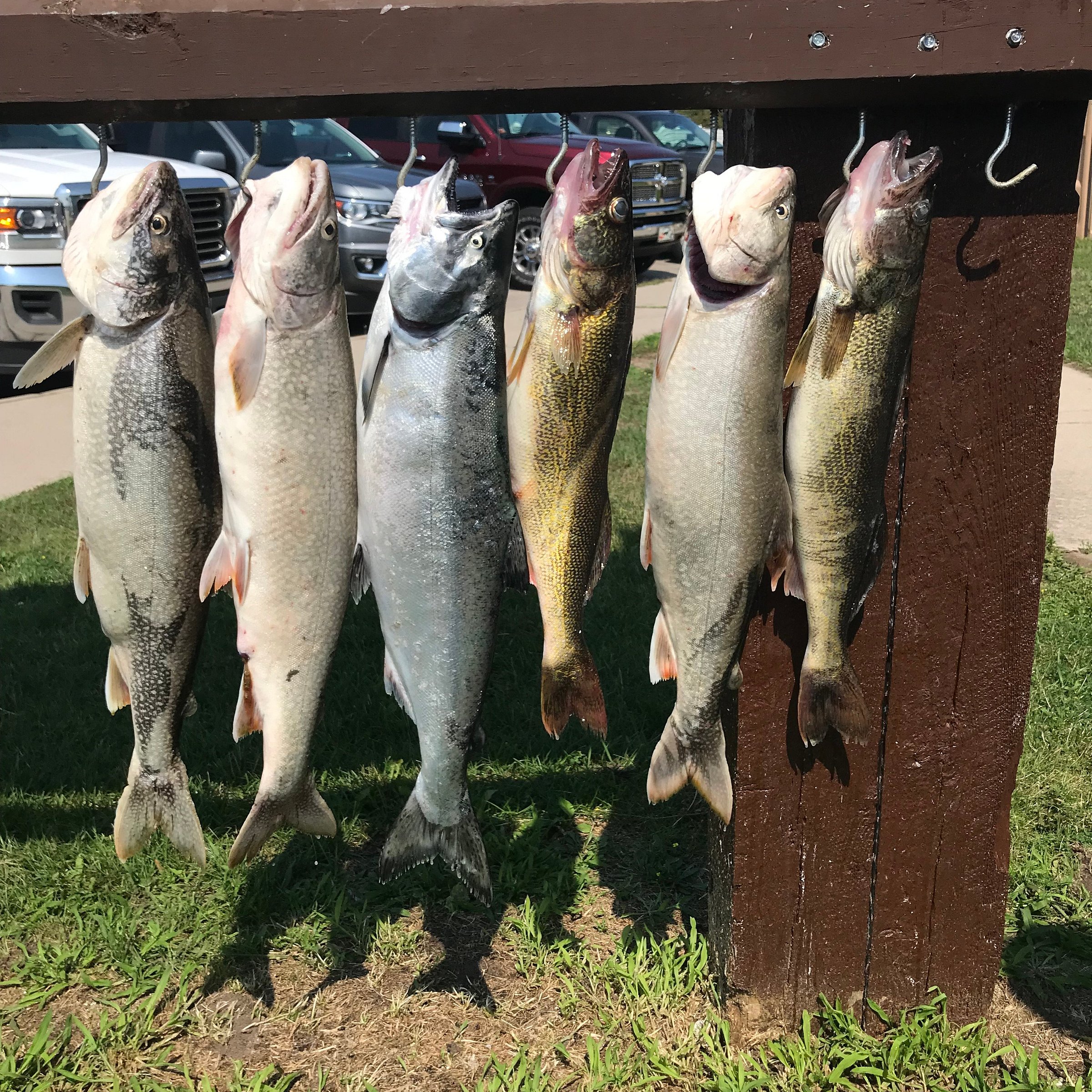 trout-scout-v-fishing-charters-alpena-all-you-need-to-know-before