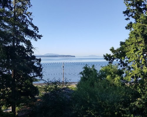 THE BEST Things to Do in Birch Bay - 2022 (with Photos) - Tripadvisor