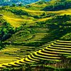 Things To Do in Best Mu Cang Chai 2 Days Trip, Restaurants in Best Mu Cang Chai 2 Days Trip