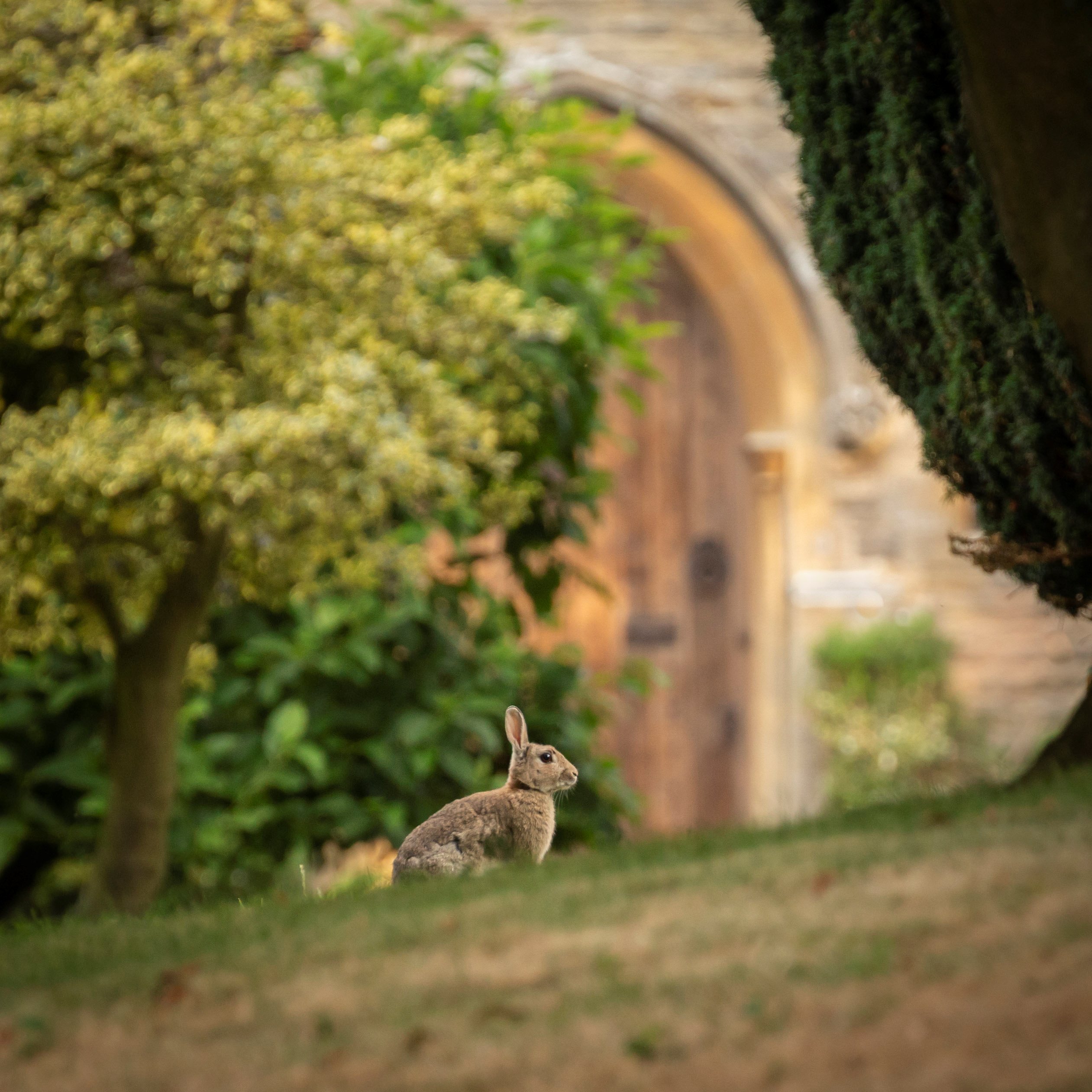 THE RECTORY LACOCK - Updated 2022 Reviews, Price Comparison