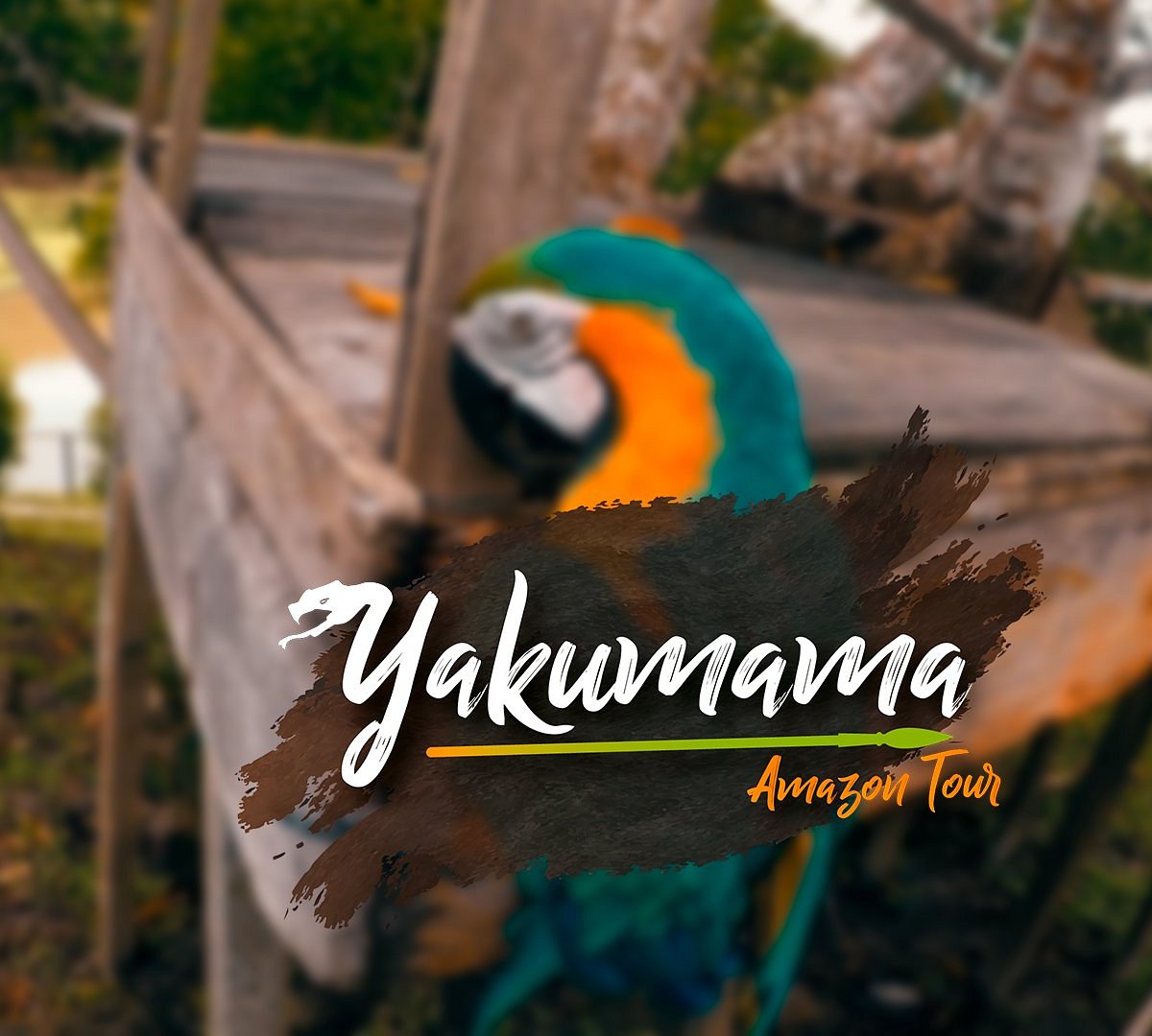 yakumama amazon tours iquitos