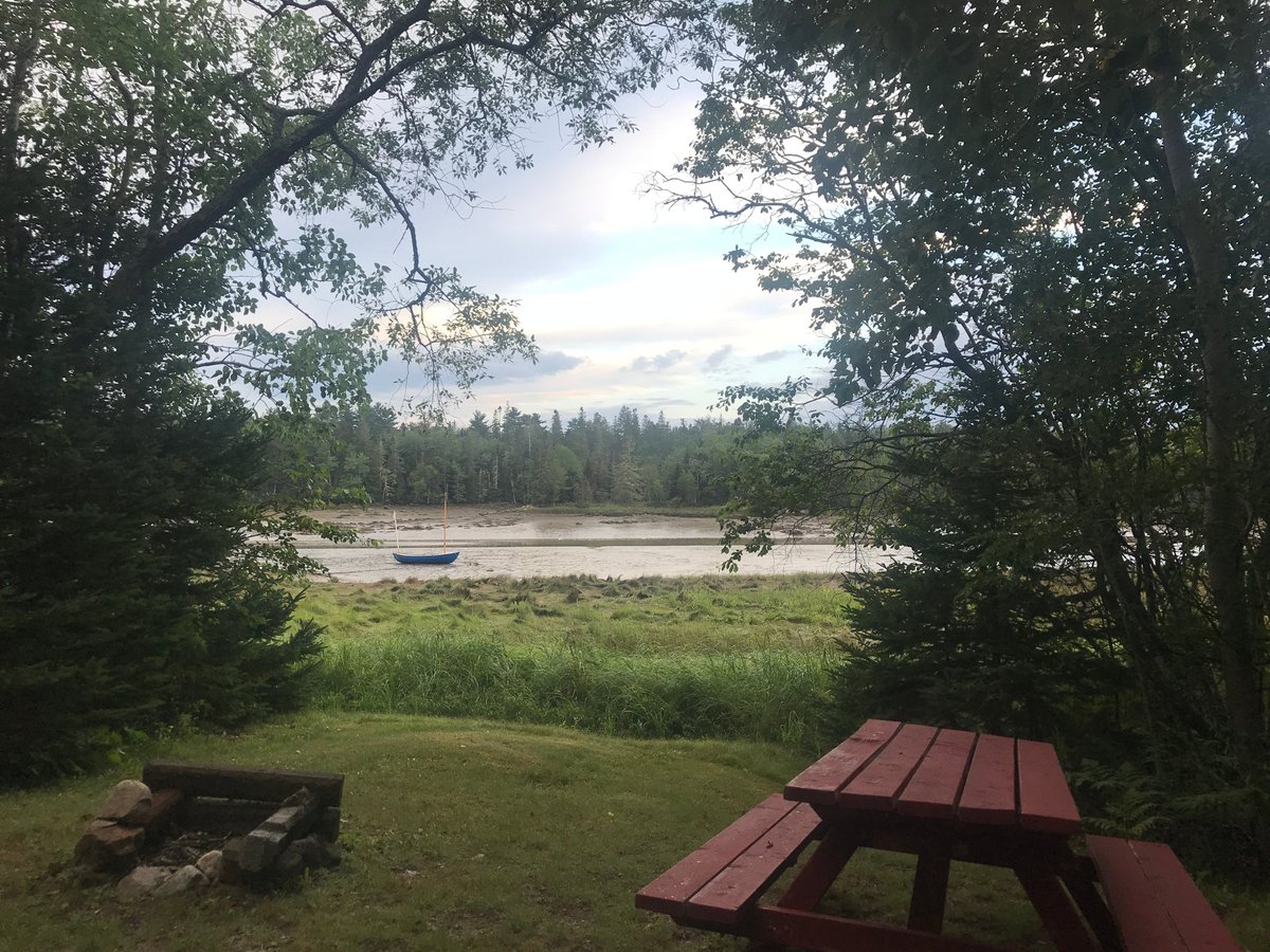 Maine Mainayr Campground: Where the Wild Things Are (and You Can Too!)