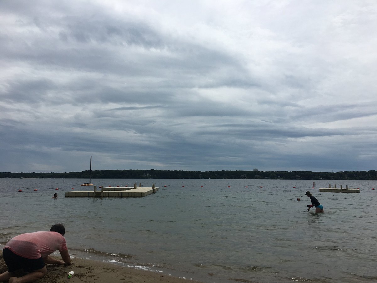 are dogs allowed at long pond beach in brewster ma