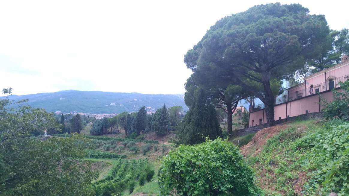 AGRITURISMO TENUTA SAN MICHELE Updated 2024 Prices Santa