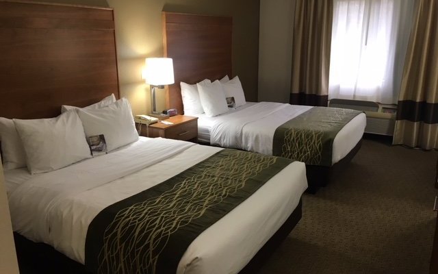 2 Queen Bed room