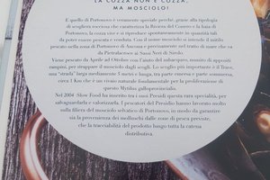 Carta