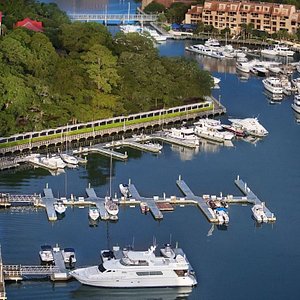 Disney's Hilton Head Island Resort - South Carolina
