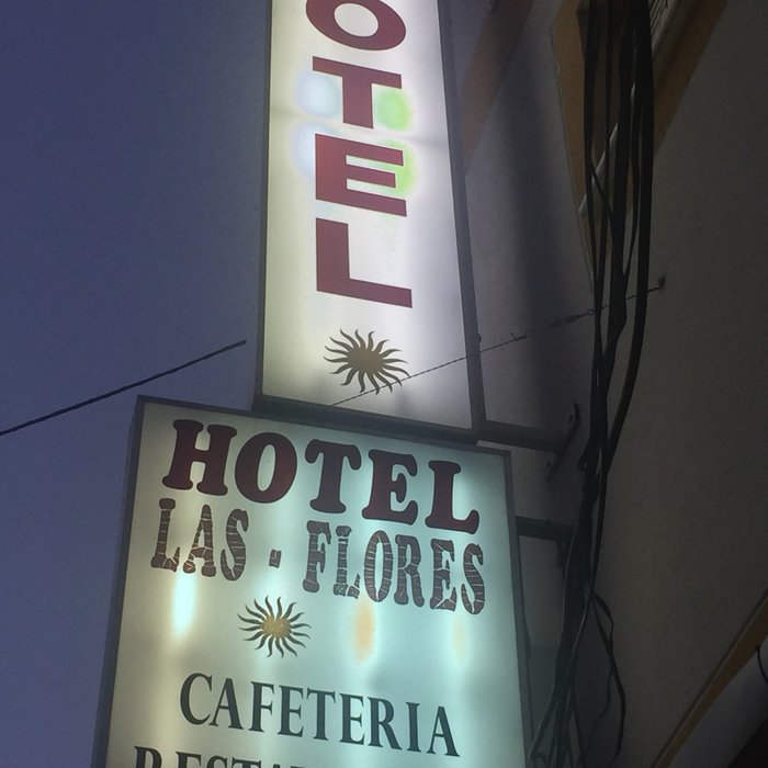 Imagen 3 de Hotel las flores
