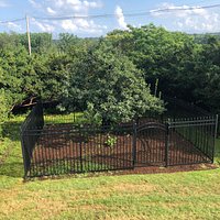 Showing new fence around the tree