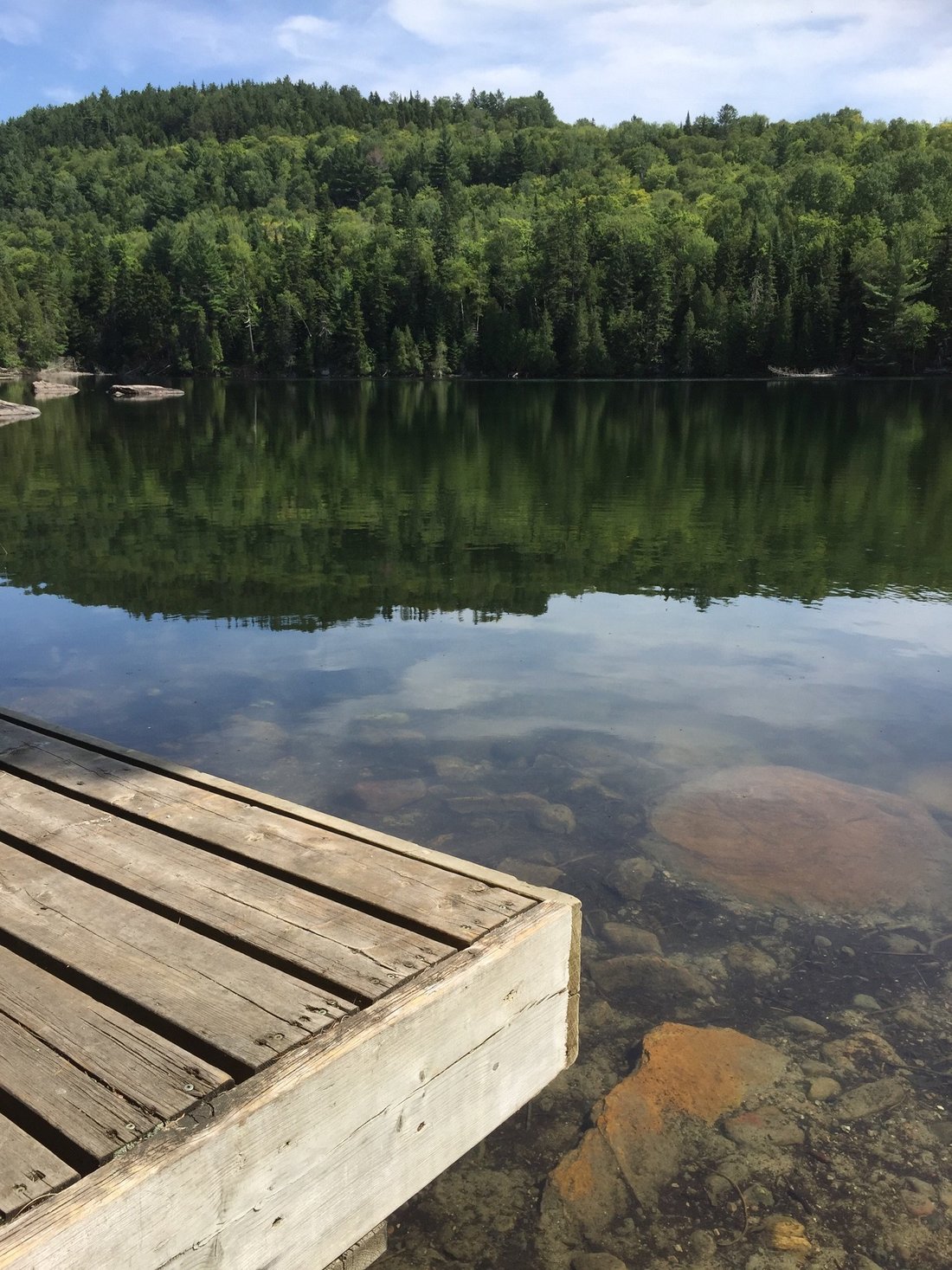 Au Repos Du Draveur Québec Canada