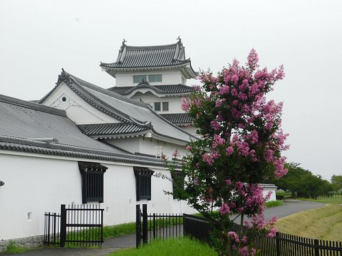 野田市の美術館 博物館 ベスト5 トリップアドバイザー