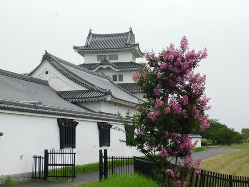 野田市の美術館 博物館 ベスト5 トリップアドバイザー