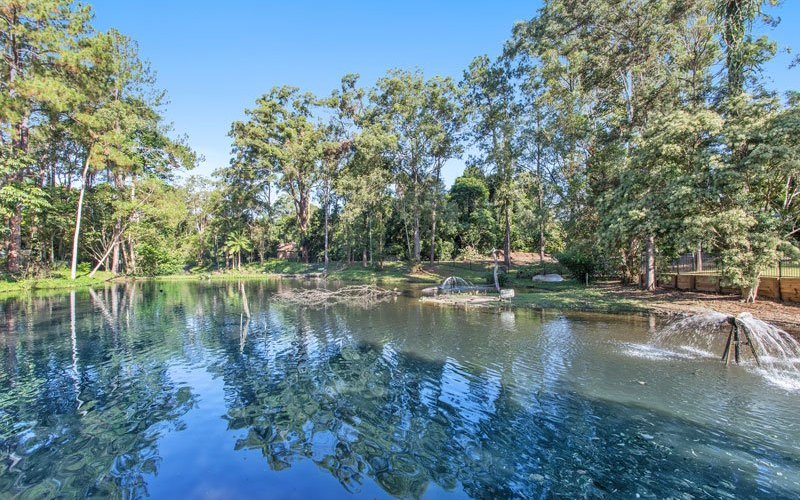 On site dam - attracts loads of native birds and ducks! 