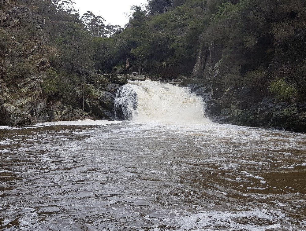 Os 10 Melhores Pontos Turísticos Em Mole Creek 2024 Tripadvisor 3857