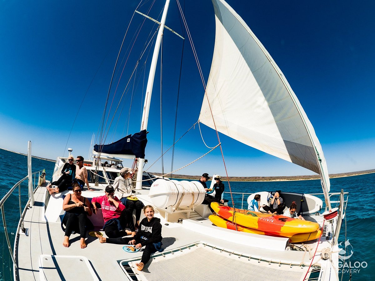 ningaloo discovery catamaran