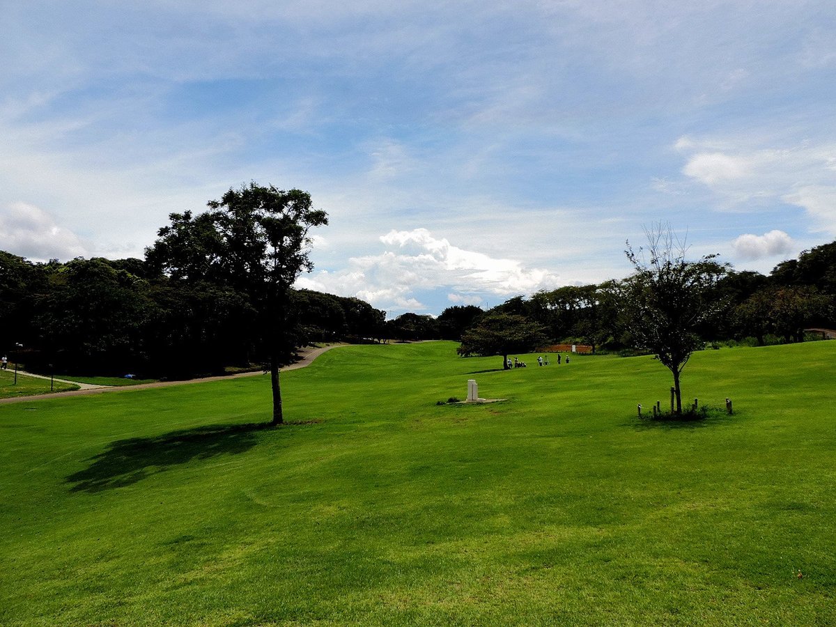 Yokohama Negishi Forest Park Ce Qu Il Faut Savoir