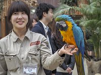 Kobe Animal Kingdom - All You Need to Know BEFORE You Go Kobe Animal Kingdom - All You Need to Know BEFORE You Go