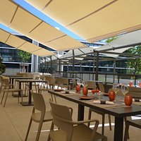 La terrasse ombragée