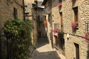 Viaggiatori