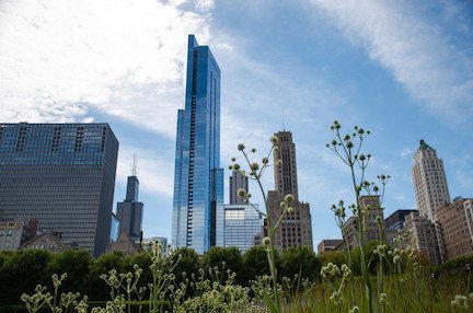 Free Chicago Walking Tours - All You Need To Know BEFORE You Go