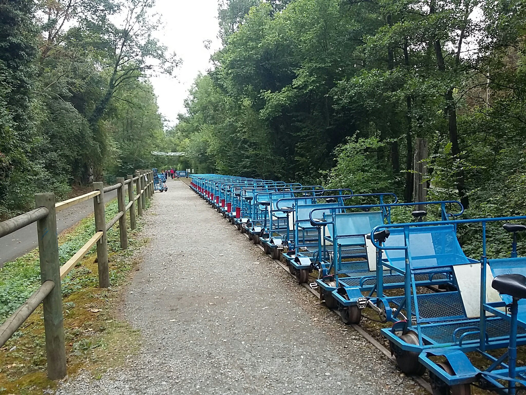 RAILBIKES OF THE MOLIGNEE 2024 All You Need to Know BEFORE You Go with Photos