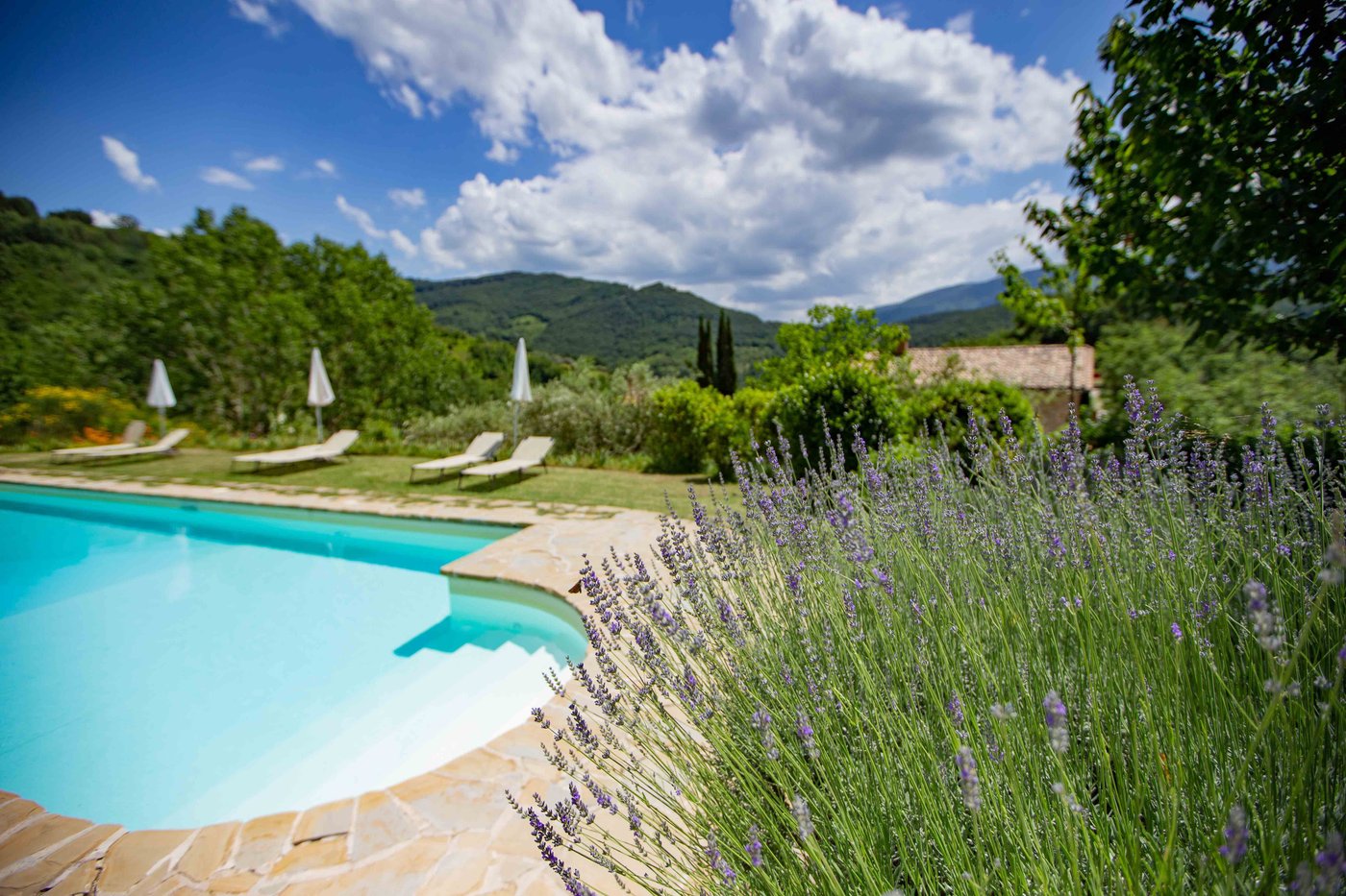 casa-rosa-prices-villa-reviews-assisi-italy