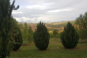 الإطلالة من الغرفة