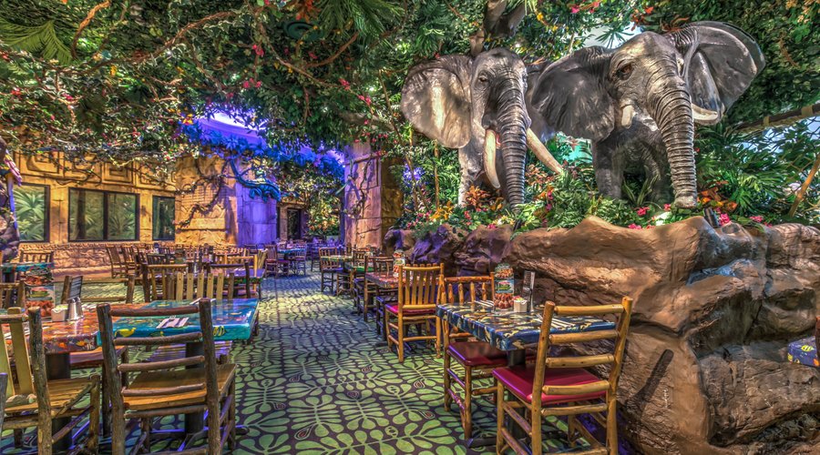 RAINFOREST CAFE, Las Vegas - The Strip - Restaurant Reviews 