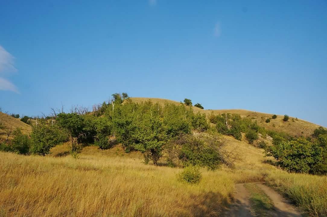 Глубина волги в камышине