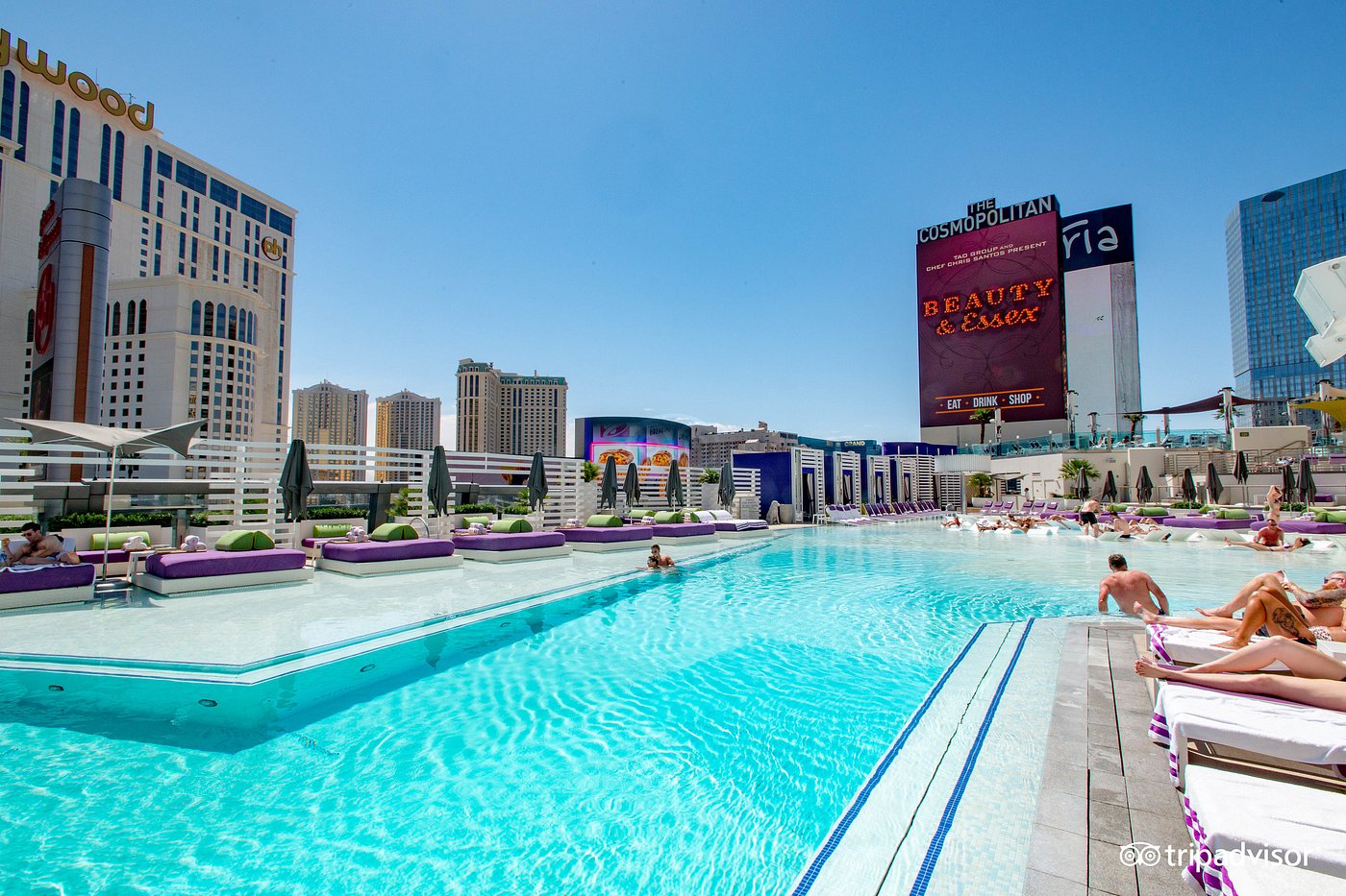 The Cosmopolitan of Las Vegas, Autograph Collection Pool Pictures ...