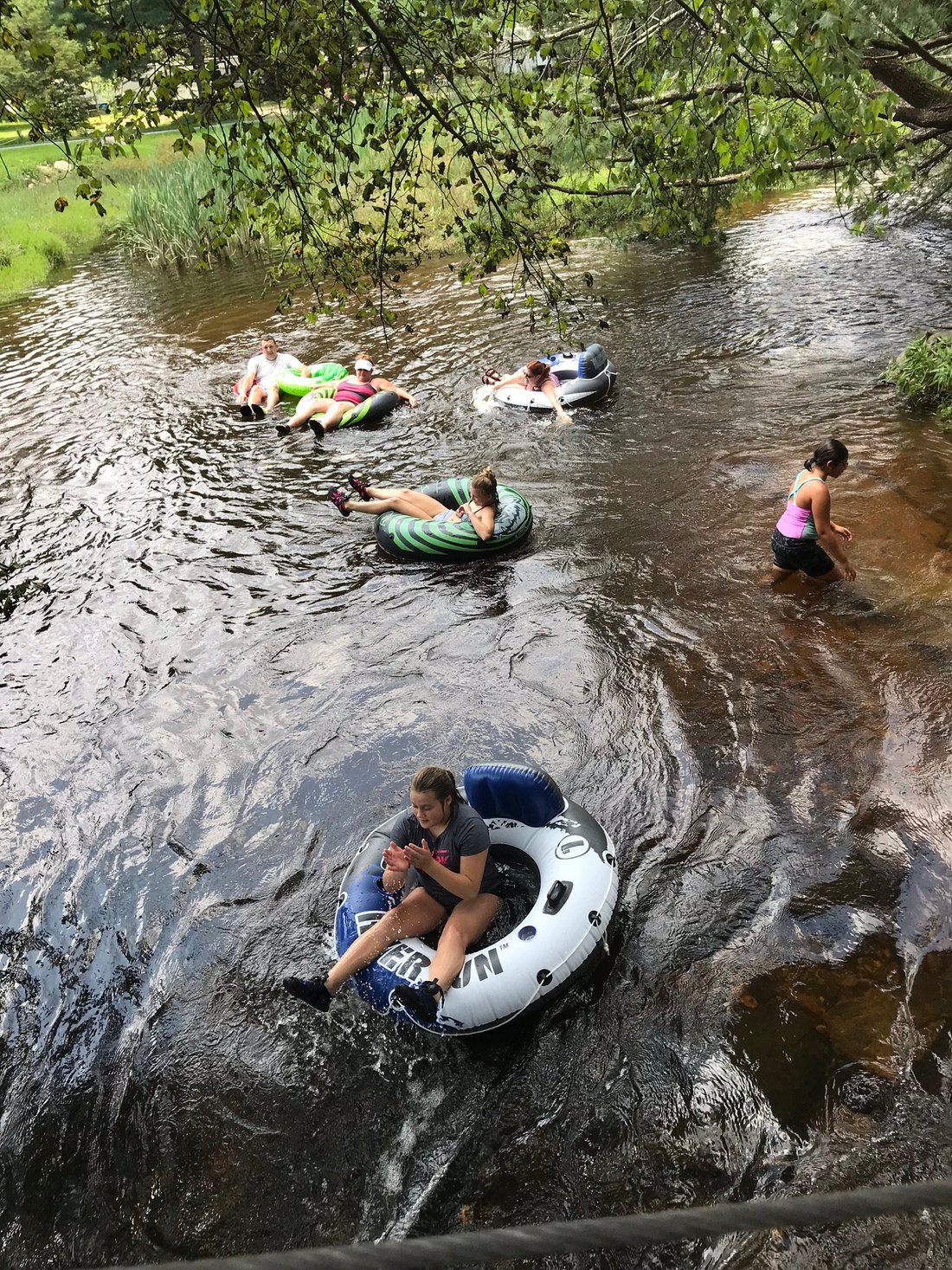 MOUNTAIN CREEK CAMPGROUND photo