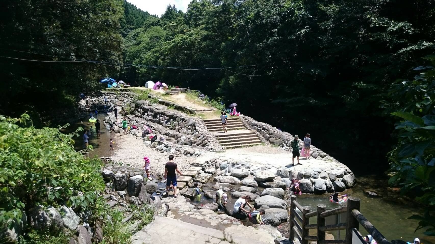 大村 砂防公園 ペット ストア