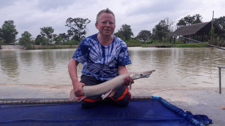 Alligator gar.