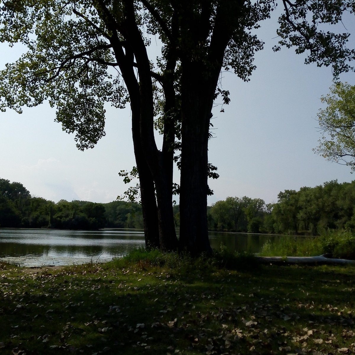 SKOKIE LAGOONS - All You Need to Know BEFORE You Go (with Photos)