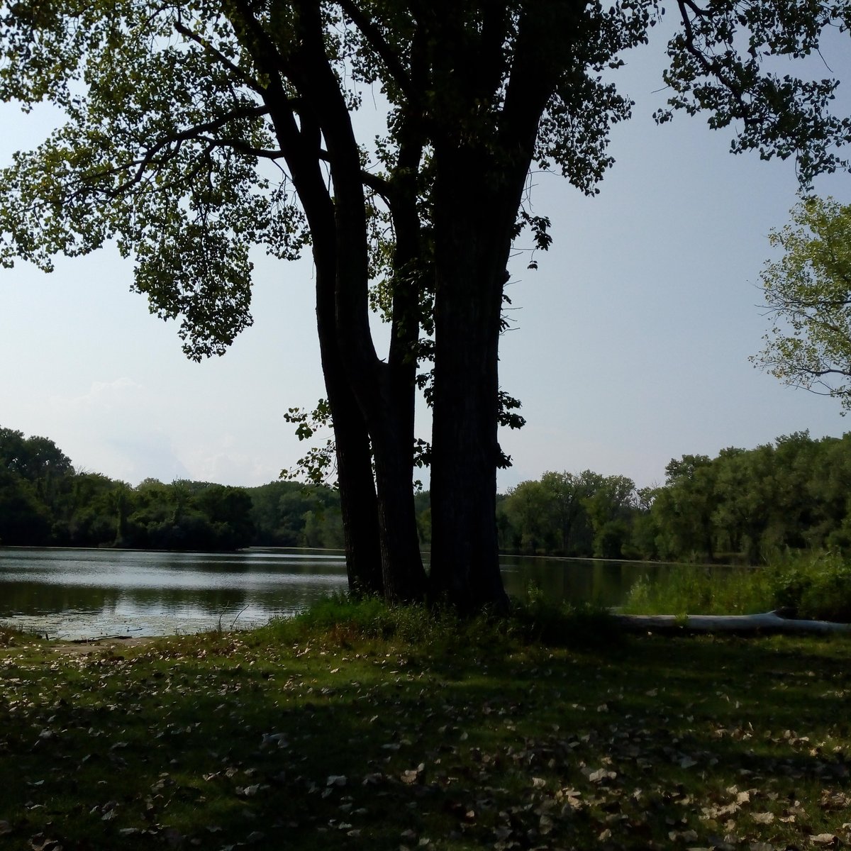 Skokie Lagoons Winnetka Qué Saber Antes De Ir 2024