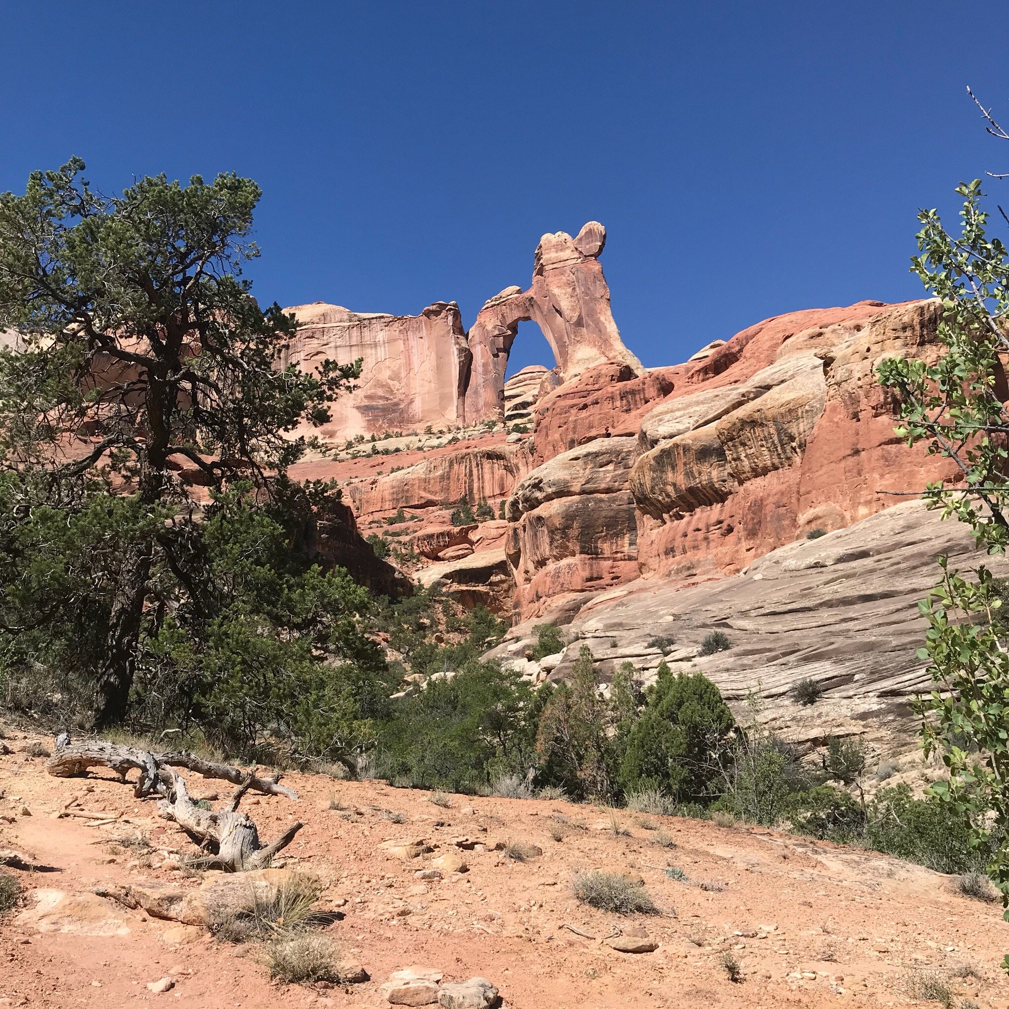 Angel arch canyonlands clearance hike